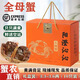 【活蟹】陽澄沁沁大閘蟹 鮮活大湖螃蟹全母蟹 海鮮水產(chǎn)生鮮禮盒裝 【十只裝】全母蟹3.3-3.6兩