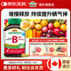 健美生（Jamieson）復(fù)合維生素B族B100 含B2/B12等8種復(fù)合VB/葉酸/肌醇/膽堿海外進(jìn)口 【釋放長效力】復(fù)合B族60粒/瓶