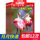 包郵 中國兒童畫(huà)報動(dòng)物大世界雜志雜志鋪全年訂閱 2026年1月起訂 1年共12期 幼兒科普讀物