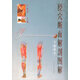 經(jīng)穴斷面解剖圖解下肢部分 嚴振國 科學(xué)技術(shù)出版社 9787532367252