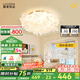 鹿家良品（LUUGAA）羽葉臥室吸頂燈客廳燈奶油風(fēng)羽毛燈主臥臥室燈全光譜護(hù)眼中山燈具 護(hù)眼72cm三色光72W吸頂