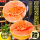 京地達新疆正宗至愛哈蜜瓜 凈重7斤單果2.5斤+新鮮密瓜甜瓜源頭直發(fā)包郵