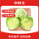京鮮生山東新鮮綠甘藍凈重5斤單果200g+卷心菜甘藍新鮮蔬菜 源頭直發(fā)