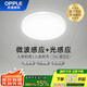 歐普照明（OPPLE）led燈吸頂式感應燈微波雷達人體感應節能燈物業(yè)工廠(chǎng)走廊樓道過(guò)道車(chē)庫用 13w微波感應-暖白光