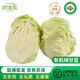 沈佳農有機蔬菜新鮮蔬菜沙拉健康無(wú)農藥輕食沙拉有機認證源頭直發(fā) 有機綠甘藍5斤