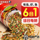 京小米森活六合一龜糧烏龜飼料草龜巴西龜小烏龜食糧通用魚干蝦干面包蟲干糧 8合一龜糧1.5mm小粒310ml/桶