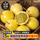 京地達正宗欽蜜9號黃金百香果 5斤巨無霸單果90g+ 新鮮水果源頭直發(fā)包郵