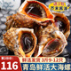 ?；蕿?青島大海螺 1500g 9-12只 規(guī)格更大 新鮮海捕 生鮮 貝類 加大9-12只 1.5kg(凈重)