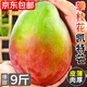 京地達攀枝花凱特芒果 9斤特大果450g+ 香甜現摘新鮮水果源頭直發(fā)包郵