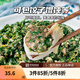 新雅大廚 速食方便菜半成品菜冷凍鎖鮮午餐中華老字號預(yù)制菜懶人菜硬菜 鮮肉薺菜餡500g