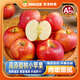 沐瑾云南高原櫻桃小蘋(píng)果紅富士冰糖心蘋(píng)果紅露新鮮水果紅平果孕婦水果 優(yōu)選丨5斤-單果100g左右丨含箱 新鮮速發(fā)