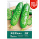 北蔬 黃瓜種子苗強(qiáng)雌旱黃瓜摘不敗四季蔬菜種籽 海吉亞秋黃瓜種子40粒