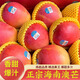 新鮮澳芒9斤大果蘋果芒澳洲芒紅芒整箱當(dāng)季精品現(xiàn)摘嫩甜包郵 9斤 精選裝【大果300g+】