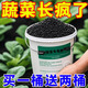 骉祥蔬菜專(zhuān)用肥有機肥瓜果綠植黃瓜西紅柿韭菜辣椒顆粒緩釋種菜y 一桶裝【300克】