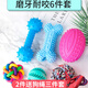 YRYE狗狗玩具耐咬發(fā)聲寵物狗磨牙玩具泰迪小型犬金毛解悶幼犬狗用品 發(fā)聲杠鈴