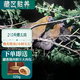 卡拉達(dá) 大香格里拉210天農(nóng)家散養(yǎng)藏土雞(整雞）1.5kg 黃雞走地雞 