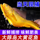 正宗大陳島大黃魚東海黃花魚新鮮活冷凍深海臺州海鮮水產(chǎn)中秋禮盒 0.7-0.9斤每條 2條裝