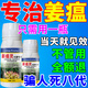 晴天霹靂姜瘟一撒清姜瘟清生姜專用藥防治姜瘟病根腐爛根莖基腐肥料殺菌劑 五瓶【姜病全清】