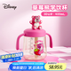 迪士尼（Disney）兒童牛奶刻度杯寶寶喝奶家用學(xué)飲杯PPSU把手柄吸管牛奶杯10645-2