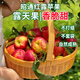 農(nóng)味族新鮮昭通紅露蘋(píng)果官方旗艦店純甜高山糖心丑蘋(píng)果基地直發(fā)應(yīng)季水果 新鮮紅露2斤特小果（60-69mm）