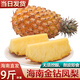 譯優(yōu)農(nóng)正宗海南金鉆鳳梨新鮮熱帶水果當季無眼香水金菠蘿手 凈重4.5-5斤【精選裝】海南直發(fā)
