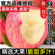 綠農(nóng)俠陜西洛川蘋果紅富士新鮮水果整箱批發(fā)冰糖心脆甜大果 脆甜|正宗洛川紅富士蘋果 【精選】4.5斤中果75-80mm實(shí)惠裝