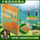 我的阿勒泰系列李娟正版散文作品集 阿勒泰的角落冬牧場(chǎng)遙遠(yuǎn)的向日葵地九篇雪走夜路請(qǐng)放聲歌唱記一忘三二火車快開羊道三部曲春牧場(chǎng)前山夏牧場(chǎng)深山夏牧場(chǎng) 我的阿勒泰 刷邊紀(jì)念版
