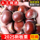 栗品優(yōu) 2025下樹生板栗新鮮帶殼板栗 毛板栗子板粟 生鮮鮮栗子新鮮蔬菜 板栗5斤裝【凈重4.5-5斤】