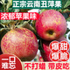云南丑蘋(píng)果 【25年新上市】脆甜紅露冰糖心蘋(píng)果 新鮮水果 5斤中果 13-15個(gè)