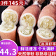 海皇灣滿籽筆管魚 海兔子新鮮母管鮮活冷凍籽烏小魷魚烏賊 火鍋食材 約12-14只 500g(凈重)