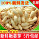 新鮮嫩姜芽山東新鮮當(dāng)季脆嫩無(wú)絲泡菜仔姜小嫩姜芽 2500克