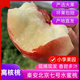 北京七號水蜜桃正宗甘肅天水秦安水蜜桃水果桃子新鮮水果離核桃 12個大果禮盒裝【京東空運】