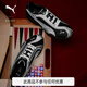彪馬（PUMA）BELLA薄底鞋復(fù)刻千禧風(fēng)復(fù)古銀色運(yùn)動(dòng)鞋女子休閑鞋 404043 銀光黑-01 43