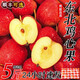 鮮級(jí)佳 東北雞心果5斤【順豐多地次日達(dá)-配送上門】小蘋果沙果海棠果禮 凈重3斤丨10-12枚/斤【蕞劃算-超值裝】 精選裝【80%客戶選擇-超劃算】