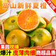 甜果源 三峽夏橙 冰糖臍橙湖北秭歸高山甜橙子果凍薄皮時(shí)令當(dāng)季新鮮水果 凈重4.8-5斤【大多數(shù)人選】 單果55-60mm【偏小慎拍】