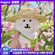 卡丘比【現貨韓國正品】自嘲熊正版玩偶Nagano掛件女朋友禮物代購13cm 自嘲熊+草帽+四葉草挎包+眼鏡