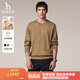 哈吉斯（HAZZYS）男裝 春秋季大logo長(zhǎng)袖衣服休閑男上衣圓領(lǐng)衛(wèi)衣男ABTZE0CCF02 駝色CM XL （180/100A 50）