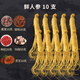 生物圈長(cháng)白山人參10支鮮人參+鹿茸+鎖陽(yáng)+枸杞+靈芝+瑪咖,泡酒材料送禮品 10支鮮人參+泡酒材料