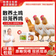 楊博士 皖南散養(yǎng)土雞3只 凈重4.2斤 老母雞2只+仔公雞1只整雞源頭直發(fā)