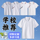 乖夫子小學(xué)生白色T恤班服短袖初高中生翻領(lǐng)POLO衫校服男女童上衣夏薄款 3301【短袖-翻領(lǐng)】黑紅杠領(lǐng)-白色 120 （建議體重40-50斤）