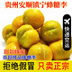 蜜思你【京東空運(yùn)】貴州鎮(zhèn)寧六馬蜂糖李新鮮現(xiàn)摘產(chǎn)地直發(fā)高端水果送禮 50枚大果禮盒裝（單果45-50mm）