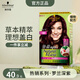 施華蔻怡然植物染發(fā)霜 草本染發(fā)劑染發(fā)膏 男女士 蓋白發(fā) 4.9/9羅蘭深紫(溫柔色)