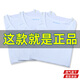 際華三五六五制正式白背心制式消防白汗衫體能訓(xùn)練背心軍迷戰(zhàn)術(shù)跨欄背心 白背心【一件裝】 175/92-96【約135-145斤】