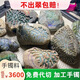 天然翡翠原石緬甸玉石毛料原料老坑糯冰種帝王綠手鐲料色料開(kāi)窗料