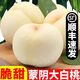 順豐蒙陰白玉奶油大白桃5斤裝新鮮水果桃子白肉蟠桃蜜桃冬桃毛桃Y 凈重5斤【產(chǎn)地直發(fā)順豐】