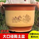努拉派家用粗陶花盆大號陶土栽花花盆陶瓷落地盆景蘭花盆 特大平口(直徑52高36)