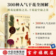 300種干花圖鑒 日本主婦與生活社著 中信出版社圖書
