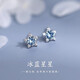 s925純銀星星耳釘女養耳洞耳環(huán)小眾2025新款高級感洗睡免摘耳飾 925銀星星耳釘【兩只價(jià)】