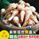 維?，F挖藠頭 新鮮蕎頭 茭頭叫頭蔥教頭小蒜交喬頭蒜泡菜姜蔬菜下飯菜 2斤