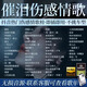 2025抖音催淚傷感情歌車載音樂u盤網(wǎng)絡(luò)流行情歌無損高音質(zhì)mp3歌曲 【抖音傷感情歌1300首+200視頻】